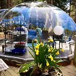 Glassigloo Med Panoramautsikt - Nordlys Og Stjernehimmel - Fosen Роскошный шатер