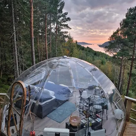 Glassigloo Med Panoramautsikt - Nordlys Og Stjernehimmel - Fosen Husby