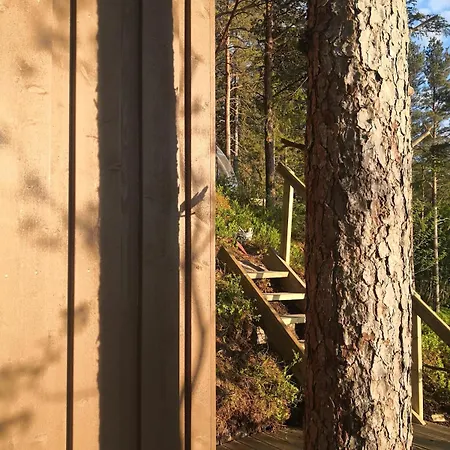 Sorfjorden Eye Iglo - Fosen *