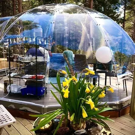 Glassigloo Med Panoramautsikt - Nordlys Og Stjernehimmel - Fosen Lüks kamp alanı