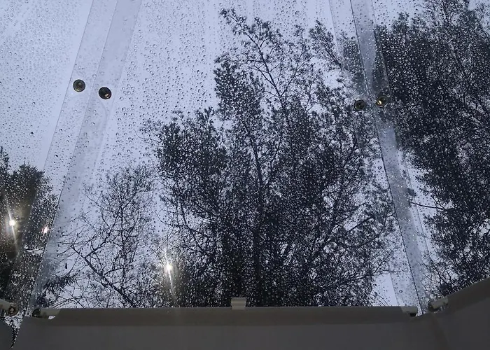 Glassigloo Med Panoramautsikt - Nordlys Og Stjernehimmel - Fosen