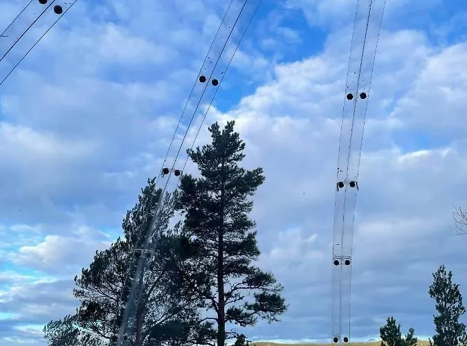 Glassigloo Med Panoramautsikt - Nordlys Og Stjernehimmel - Fosen *