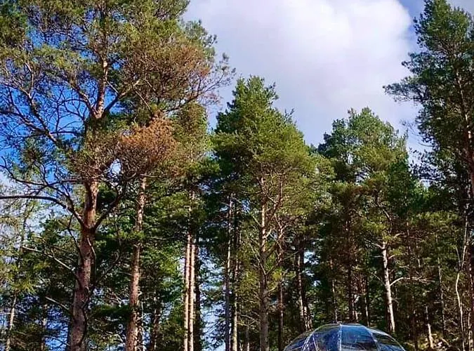 Glassigloo Med Panoramautsikt - Nordlys Og Stjernehimmel - Fosen Husby