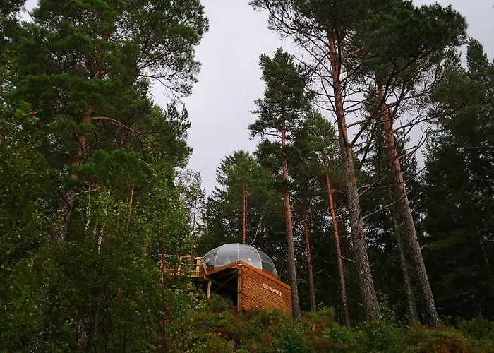 Glassigloo Med Panoramautsikt - Nordlys Og Stjernehimmel - Fosen