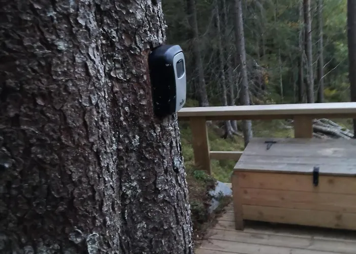Lyxtält Glassigloo Med Panoramautsikt - Nordlys Og Stjernehimmel - Fosen *