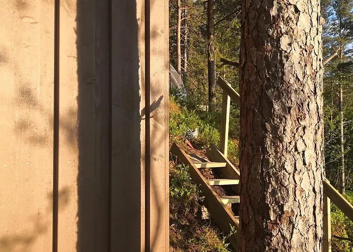 Glassigloo Med Panoramautsikt - Nordlys Og Stjernehimmel - Fosen *