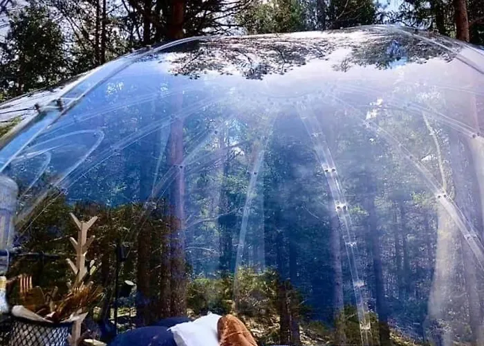 Glassigloo Med Panoramautsikt - Nordlys Og Stjernehimmel - Fosen * Husby