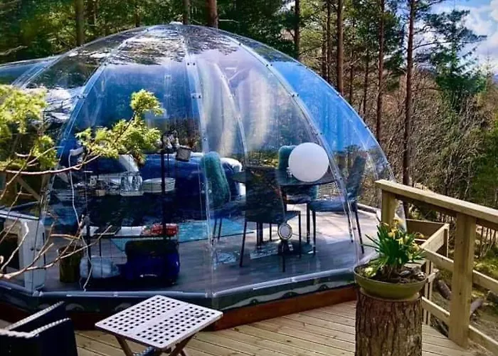 Glassigloo Med Panoramautsikt - Nordlys Og Stjernehimmel - Fosen