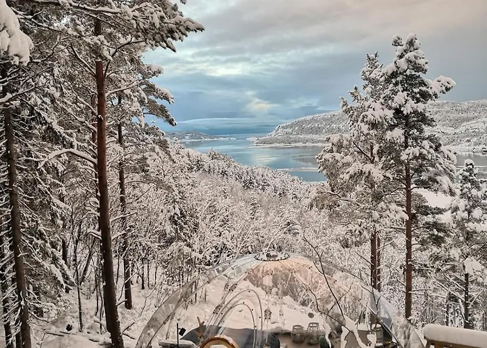 Glassigloo Med Panoramautsikt - Nordlys Og Stjernehimmel - Fosen *