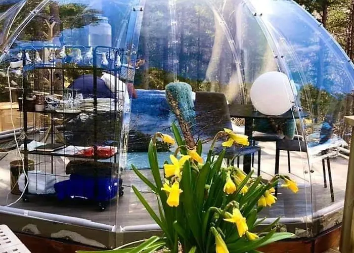 Glassigloo Med Panoramautsikt - Nordlys Og Stjernehimmel - Fosen Lyxtält