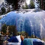 Glassigloo Med Panoramautsikt - Nordlys Og Stjernehimmel - Fosen * Husby