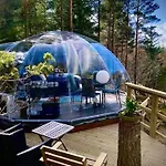Glassigloo Med Panoramautsikt - Nordlys Og Stjernehimmel - Fosen