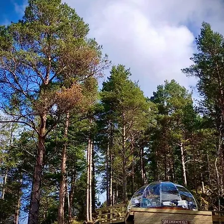 Glassigloo Med Panoramautsikt - Nordlys Og Stjernehimmel - Fosen Husby