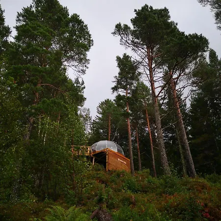 Glassigloo Med Panoramautsikt - Nordlys Og Stjernehimmel - Fosen