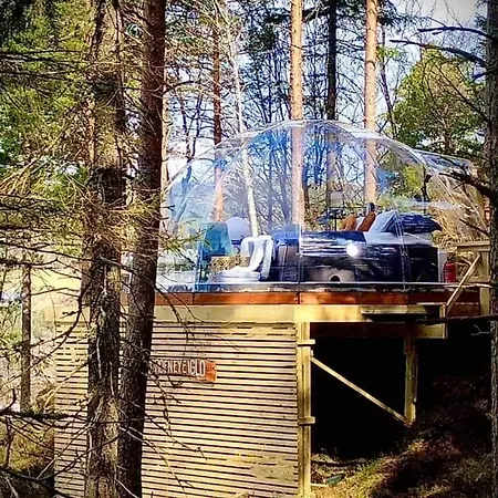 Glassigloo Med Panoramautsikt - Nordlys Og Stjernehimmel - Fosen Husby